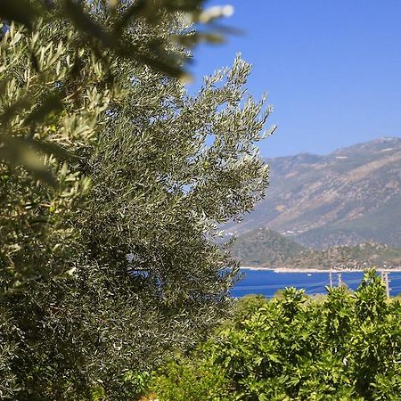 Villa Kaktus Cakil à Kaş Extérieur photo