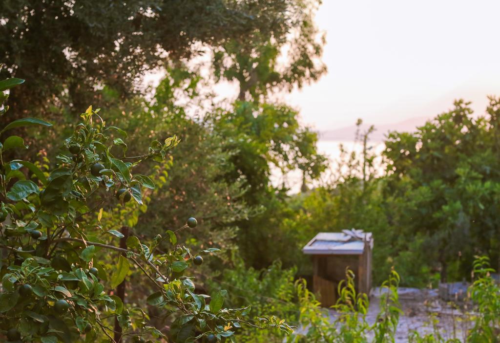 Villa Kaktus Cakil à Kaş Extérieur photo