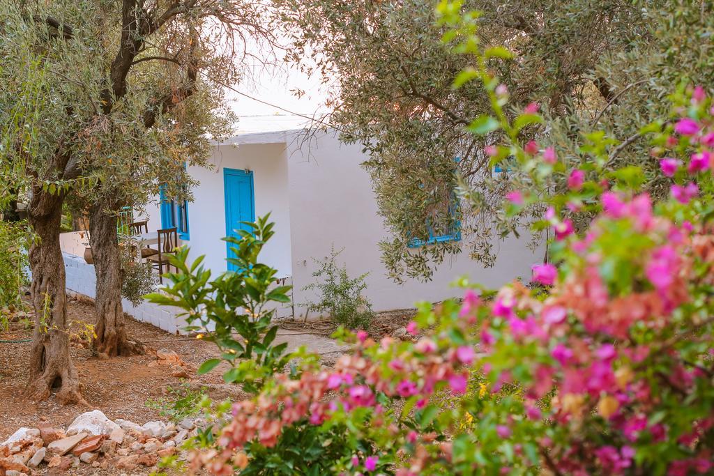 Villa Kaktus Cakil à Kaş Extérieur photo
