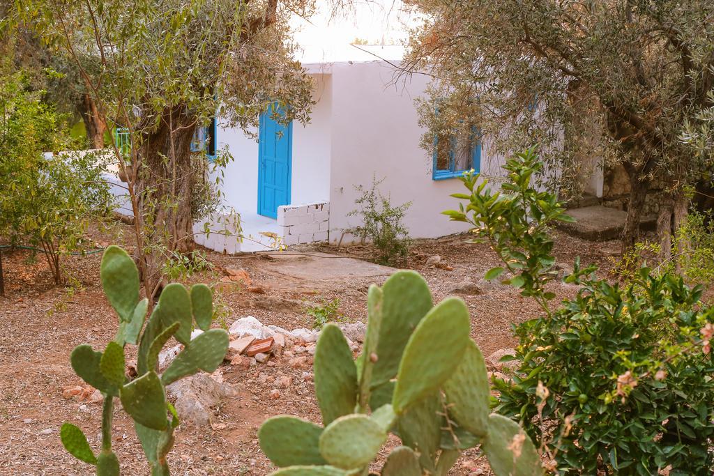 Villa Kaktus Cakil à Kaş Extérieur photo