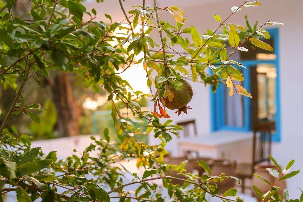 Villa Kaktus Cakil à Kaş Extérieur photo