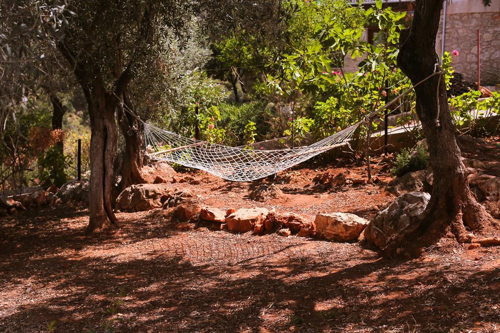 Villa Kaktus Cakil à Kaş Extérieur photo