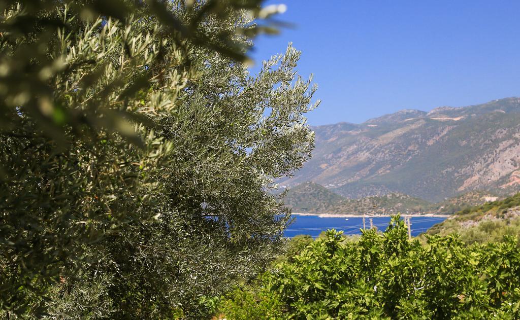 Villa Kaktus Cakil à Kaş Extérieur photo